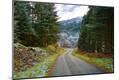 Photographic Print