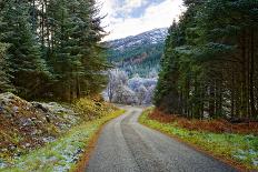 A winter view of a winding road through a wooded valley in the Ardnamurchan Peninsula, the Scottish-Peter Watson-Photographic Print