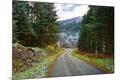 Photographic Print