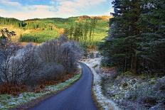 A quiet tree lined lane in the Duddon Valley, Lake District National Park, Cumbria, England, United-Peter Watson-Framed Premier Image Canvas