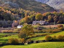 A quiet tree lined lane in the Duddon Valley, Lake District National Park, Cumbria, England, United-Peter Watson-Framed Premier Image Canvas