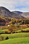 A quiet tree lined lane in the Duddon Valley, Lake District National Park, Cumbria, England, United-Peter Watson-Framed Premier Image Canvas