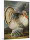 Premium Giclee Print
