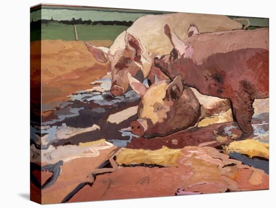 Stretched Canvas Print, , large
