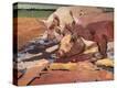 Stretched Canvas Print
