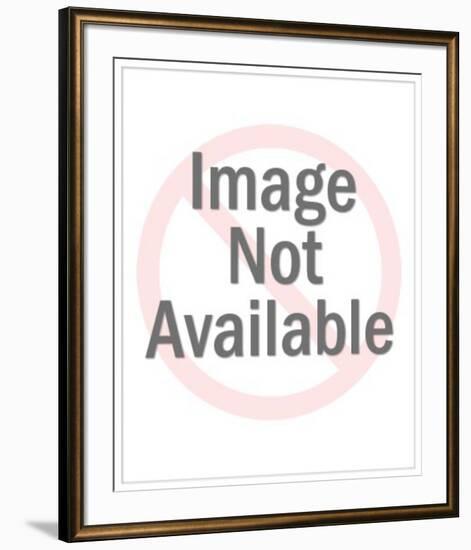 Peterson IV-Frank Stella-Framed Limited Edition