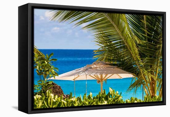 Petit Anse Beach, Mahe, Republic of Seychelles, Indian Ocean.-Michael DeFreitas-Framed Premier Image Canvas