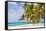 Petit Bateau, Tobago Cays, The Grenadines, St. Vincent and The Grenadines-Jane Sweeney-Framed Stretched Canvas