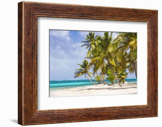 Petit Bateau, Tobago Cays, The Grenadines, St. Vincent and The Grenadines-Jane Sweeney-Framed Photographic Print