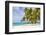 Petit Bateau, Tobago Cays, The Grenadines, St. Vincent and The Grenadines-Jane Sweeney-Framed Photographic Print