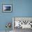 Petit Bot Bay, Guernsey, Channel Islands, UK, Europe-Firecrest Pictures-Framed Photographic Print displayed on a wall