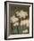 Petit Jardin Narcissus-Pamela Gladding-Framed Art Print