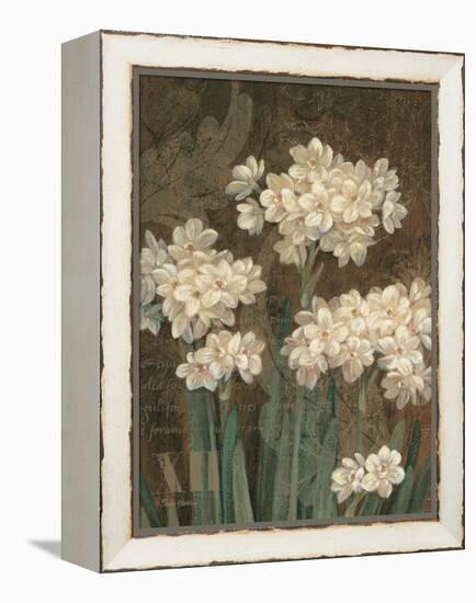 Petit Jardin Narcissus-Pamela Gladding-Framed Stretched Canvas