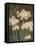 Petit Jardin Narcissus-Pamela Gladding-Framed Stretched Canvas