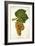 Petit Pelegarie Grape-J. Troncy-Framed Giclee Print