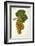 Petit Pelegarie Grape-J. Troncy-Framed Giclee Print