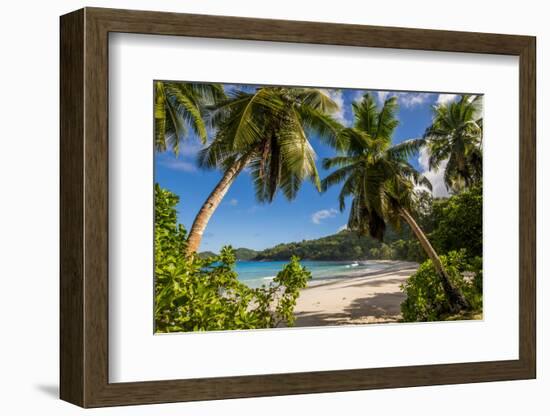 Petit Police Bay Beach, Mahe, Republic of Seychelles, Indian Ocean.-Michael DeFreitas-Framed Photographic Print