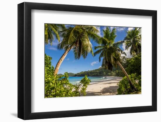 Petit Police Bay Beach, Mahe, Republic of Seychelles, Indian Ocean.-Michael DeFreitas-Framed Photographic Print