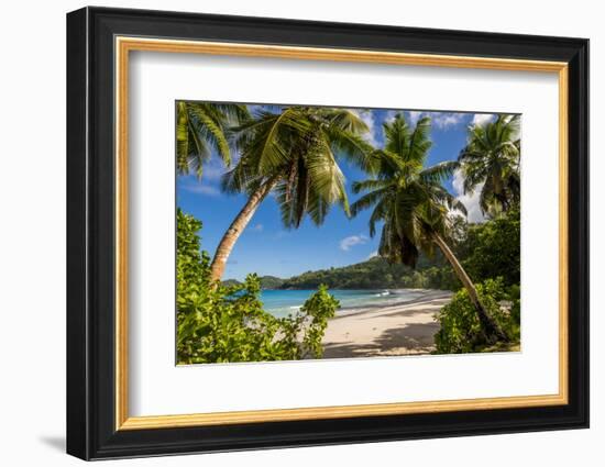 Petit Police Bay Beach, Mahe, Republic of Seychelles, Indian Ocean.-Michael DeFreitas-Framed Photographic Print