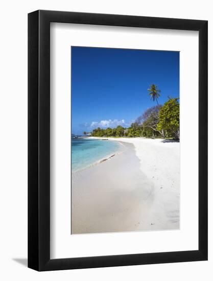 Petit St. Vincent, The Grenadines, St. Vincent and The Grenadines-Jane Sweeney-Framed Photographic Print