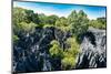 Petit Tsingy De Bemaraha, Madagascar Wilderness Landscape-Artush-Mounted Photographic Print