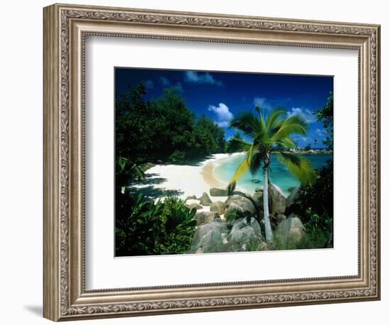 Petite Anse Praslin Seychelles-null-Framed Photographic Print