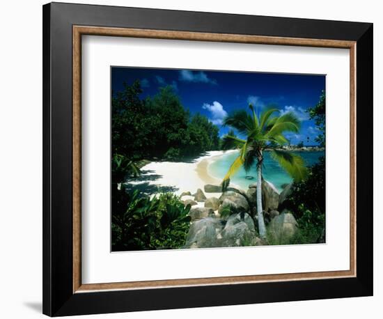 Petite Anse Praslin Seychelles-null-Framed Photographic Print