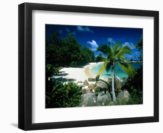 Petite Anse Praslin Seychelles-null-Framed Photographic Print