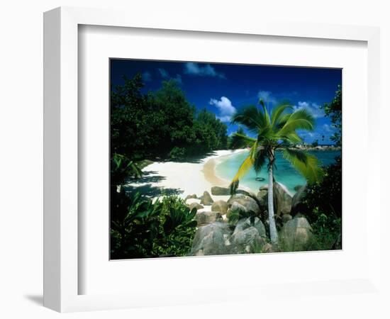 Petite Anse Praslin Seychelles-null-Framed Photographic Print