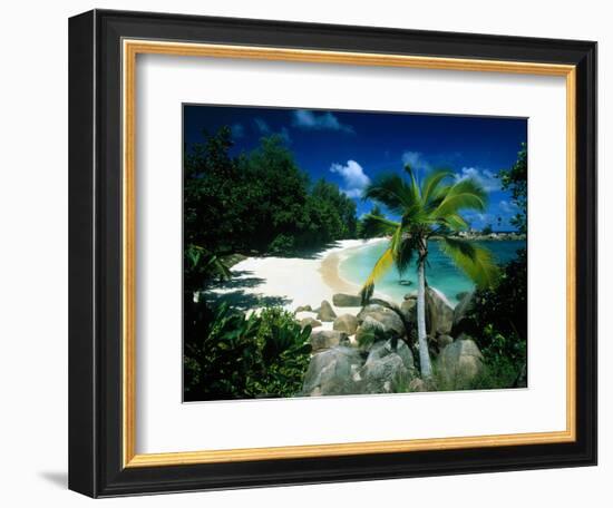 Petite Anse Praslin Seychelles-null-Framed Photographic Print