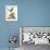 Petite Bird Study III-George Edwards-Framed Art Print displayed on a wall