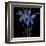 Petite Bleu-Jocelyne Anderson-Tapp-Framed Giclee Print