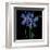 Petite Bleu-Jocelyne Anderson-Tapp-Framed Giclee Print