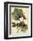 Petite Dragonflies I-Vision Studio-Framed Premium Giclee Print