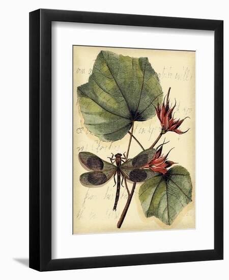 Petite Dragonflies I-Vision Studio-Framed Premium Giclee Print