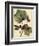 Petite Dragonflies I-Vision Studio-Framed Premium Giclee Print