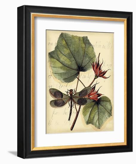 Petite Dragonflies I-Vision Studio-Framed Premium Giclee Print