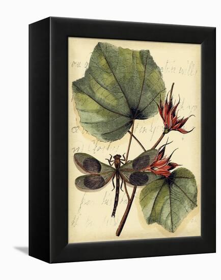 Petite Dragonflies I-Vision Studio-Framed Stretched Canvas