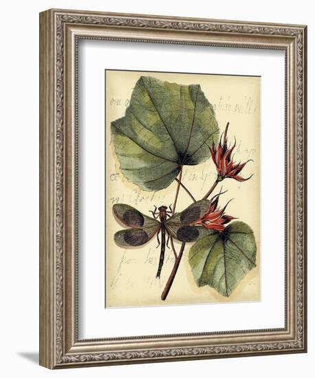 Petite Dragonflies I-Vision Studio-Framed Art Print