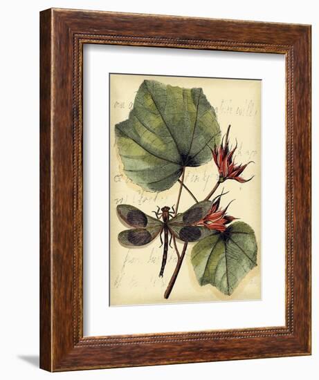 Petite Dragonflies I-Vision Studio-Framed Art Print