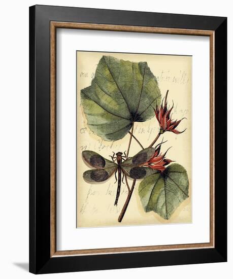 Petite Dragonflies I-Vision Studio-Framed Art Print