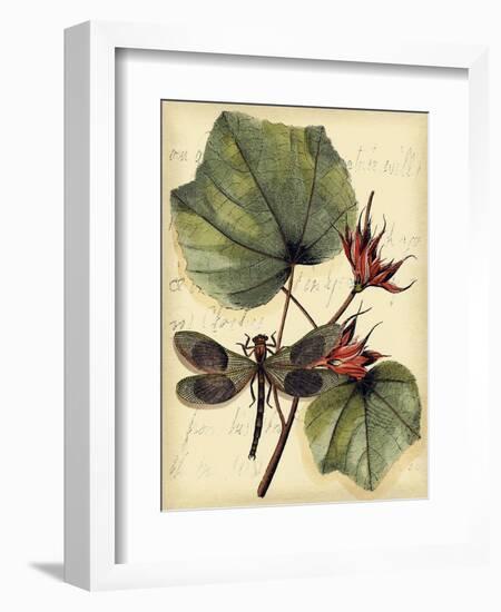Petite Dragonflies I-Vision Studio-Framed Art Print