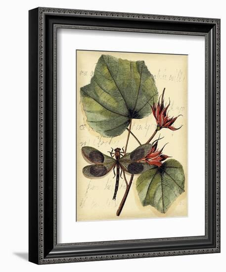 Petite Dragonflies I-Vision Studio-Framed Art Print