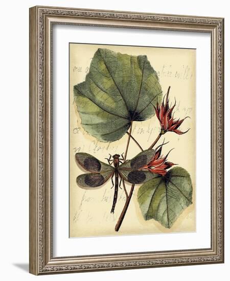 Petite Dragonflies I-Vision Studio-Framed Art Print