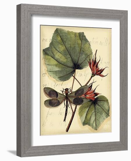 Petite Dragonflies I-Vision Studio-Framed Art Print