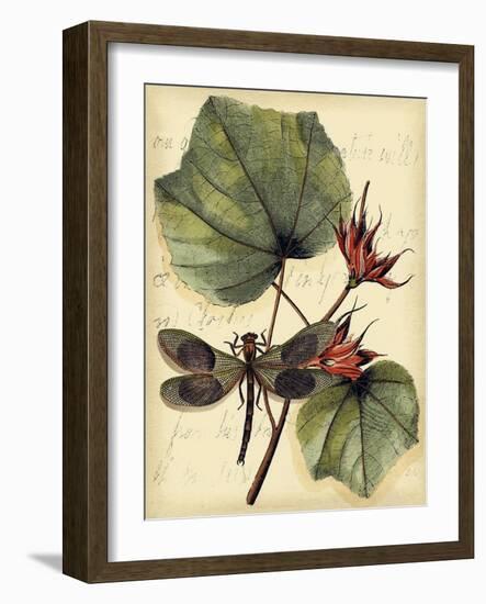 Petite Dragonflies I-Vision Studio-Framed Art Print