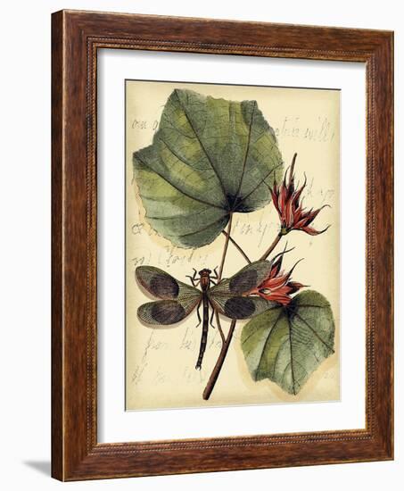 Petite Dragonflies I-Vision Studio-Framed Art Print