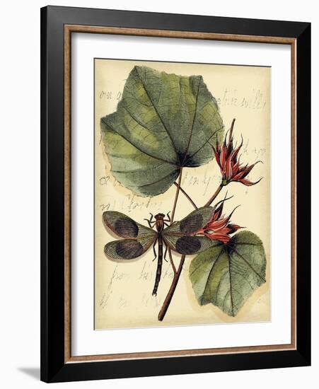 Petite Dragonflies I-Vision Studio-Framed Art Print