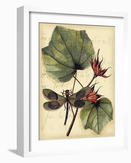 Petite Dragonflies I-Vision Studio-Framed Art Print