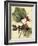 Petite Dragonflies I-Vision Studio-Framed Art Print